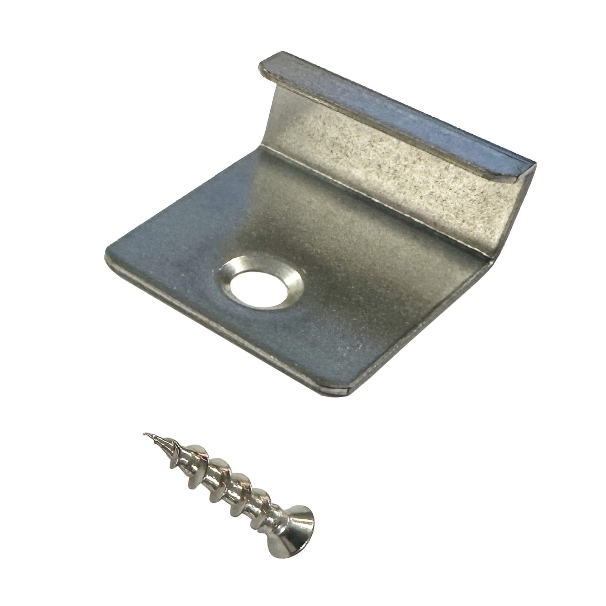 Stainless Steel Starter Clip and screw on a white background.